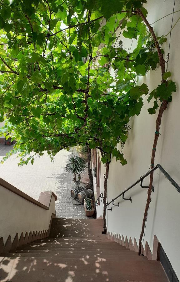 Das Landhotel Weingut Gernert Sankt Martin Extérieur photo