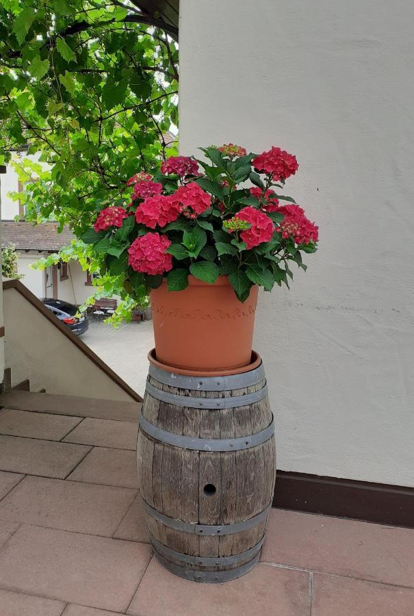 Das Landhotel Weingut Gernert Sankt Martin Extérieur photo