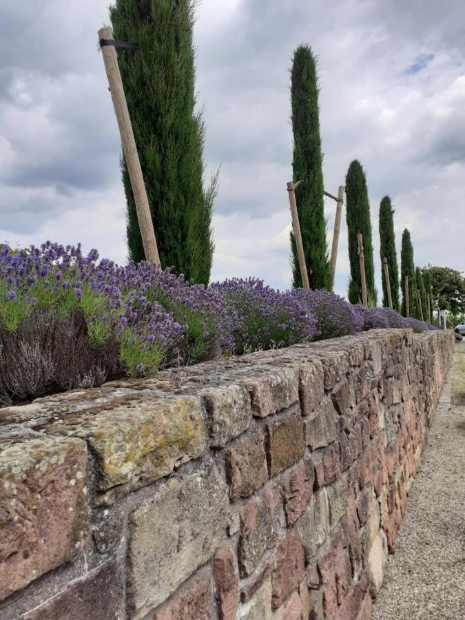 Das Landhotel Weingut Gernert Sankt Martin Extérieur photo